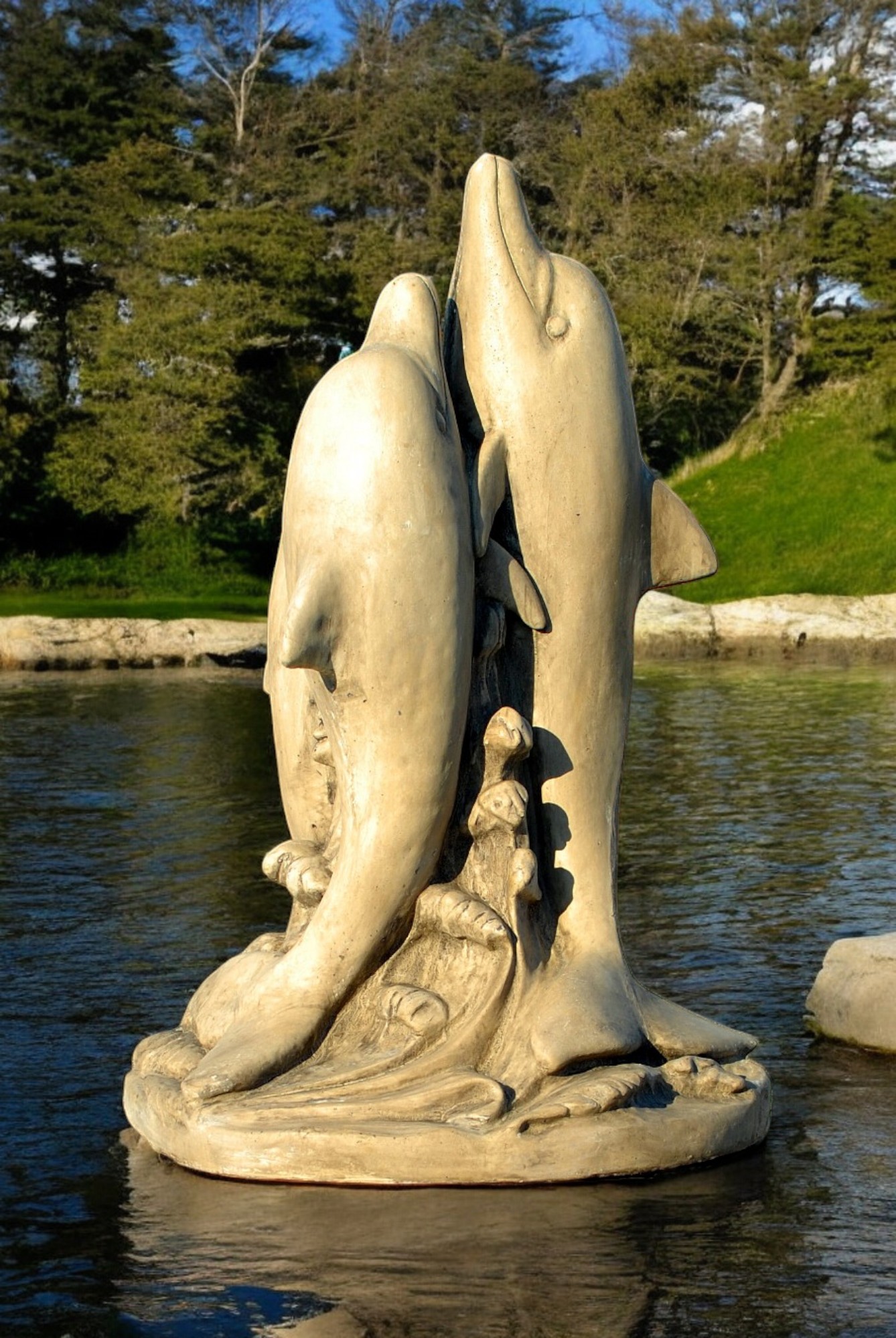 Delfiny duże